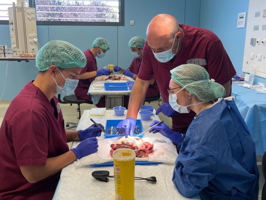 Cirurgia Toràcica jornada científica